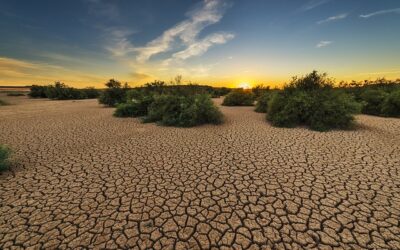 Klimaatgeneraal