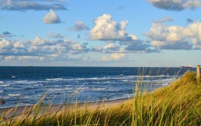De Wilde Noordzee