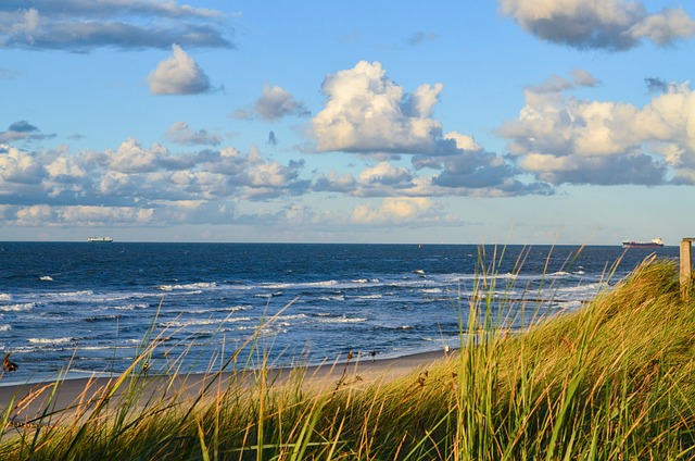 De Wilde Noordzee
